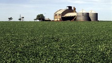 Nông dân Brazil thử công nghệ 5G với thiết bị Huawei