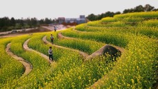 Khu sinh thái Đan Phượng.