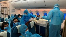 Đưa hơn 240 công dân Việt Nam từ Singapore về nước