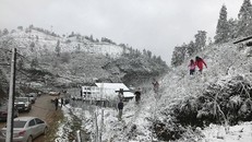 Vùng núi miền Bắc khả năng có mưa tuyết từ đêm nay