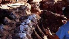 Phát hiện xương khủng long lớn nhất thế giới