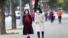 Hà Nội hoãn nhiều hoạt động mừng Xuân Tân Sửu 2021