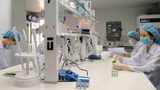 Chủng virus tại TP HCM lần đầu xuất hiện tại Đông Nam Á