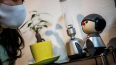 Nhận nuôi robot trong mùa dịch