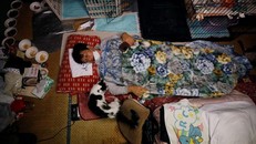 Người đàn ông nhận nuôi mèo quanh khu vực phóng xạ