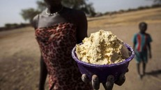 Liên Hợp Quốc cảnh báo nạn đói toàn cầu