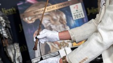 Đũa phép của Harry Potter được bán đấu giá