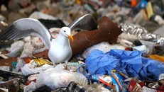 Hạt vi nhựa di chuyển trong bầu khí quyển