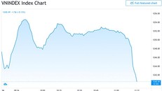 Thị trường phiên sáng ngày 16 tháng 4.