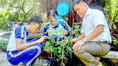 Học sinh lớp 11 sáng tạo phần mềm nhận diện thực vật