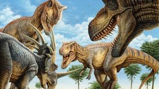 Khủng long bạo chúa có thể đi săn theo bầy