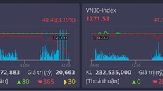 Thị trường tụt mạnh, VN30 không mã nào tăng giá 