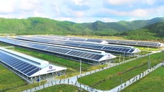 Hệ thống trang trại Vinamilk Green Farm (tại Quảng Ngãi, Tây Ninh, Thanh Hóa) sẽ được công ty đầu tư phát triển trong thời gian tới.