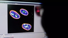 Trung Quốc tìm thấy virus giống SARS-CoV-2 ngoài tự nhiên