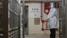 Cặp đôi siêu lây nhiễm làm khốn khổ Hong Kong