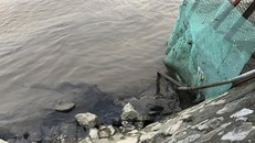 Dầu thải đe dọa nguồn nước sạch của 12.000 hộ dân tại Ninh Bình