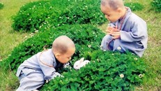 Mỗi người chúng ta đều thương yêu điều gì đó