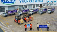 Các chuyến xe với thông điệp “Tuyến đầu khỏe mạnh, vì Việt Nam khỏe mạnh” đã đồng loạt khởi hành mang món quà của nhân viên Vinamilk gửi đến tuyến đầu.