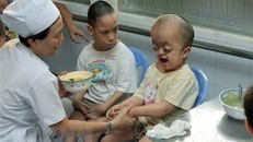 Các địa phương kỷ niệm 60 năm Thảm họa da cam ở Việt Nam 