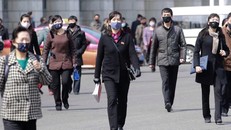 Triều Tiên từ chối 3 triệu liều vaccine Sinovac 