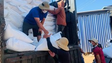 Xuất cấp hơn 1.847 tấn gạo hỗ trợ người dân Quảng Nam và Quảng Ngãi