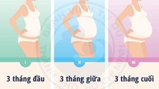 Với tình trạng dinh dưỡng bình thường (BMI: 18,5 – 24,9) mức tăng cân của người mẹ trong thai kỳ nên đạt là 10 – 12 kg