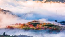 Đẹp ngất ngây mùa anh đào Sa Pa