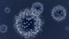 Phát hiện biến thể lai giữa Delta và Omicron