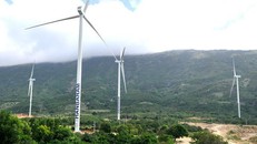 Điêu đứng vì Covid-19: Nhà đầu tư điện gió muốn được gia hạn giá FIT