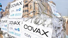 COVAX phân phối được 1 tỷ liều vaccine