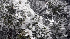 Bắc Bộ rét đậm, vùng núi có khả năng xảy ra mưa tuyết