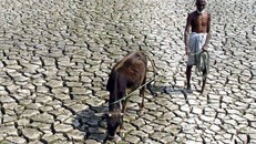 40% diện tích đất trên thế giới bị suy thoái