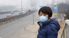 Ô nhiễm không khí dạng hạt làm giảm tuổi thọ toàn cầu