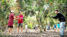 Phát triển du lịch vườn ở Đồng Nai