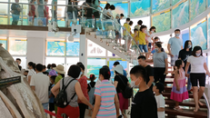 Du khách đến tham quan Bảo tàng Quảng Ninh dịp cuối tuần. Ảnh: Báo Quảng Ninh