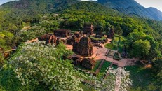 Cắm mốc bảo tồn Di sản văn hóa thế giới Mỹ Sơn