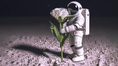 Công cụ AI giúp biến lời nói thành nghệ thuật