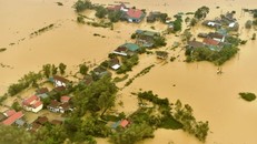 Việt Nam cam kết đóng góp cho nỗ lực ứng phó với biến đổi khí hậu