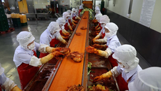 Cuộc khủng hoảng kimchi của Hàn Quốc