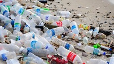 Thách thức lớn về ô nhiễm nhựa sử dụng một lần