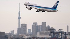 Nhật Bản sản xuất nhiên liệu cho máy bay từ gỗ rừng