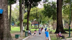 Phát triển mảng xanh đô thị