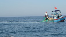 Hỗ trợ hơn 500 ngư dân sắp cạn kiệt lương thực ngoài Trường Sa
