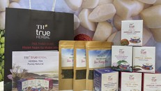 Gian hàng của TH true HERBAL tại sự kiện Horeca Kuwait 2023.