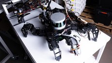 Chế tạo robot có não dựa trên đặc tính của côn trùng