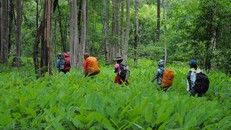 Nguy cơ từ du lịch mạo hiểm tự phát