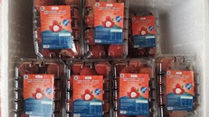 Vải không hạt Việt Nam lần đầu có mặt tại Anh