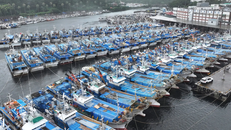 Hàn Quốc và Nhật Bản chống chọi với bão bão Khanun 