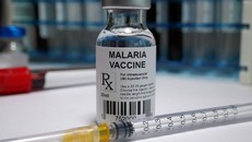 WHO khuyến nghị sử dụng loại vaccine thứ hai để phòng sốt rét