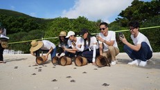 Chiến dịch 'Save The Ocean' gây Quỹ Bảo tồn môi trường sống của rùa biển